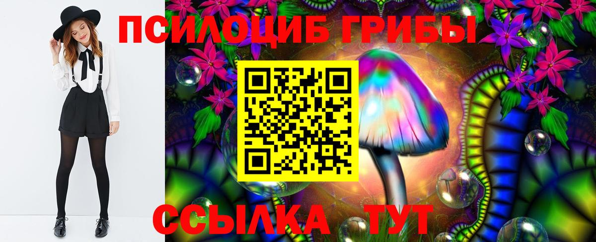 Галлюциногенные грибы MAGIC MUSHROOMS  Вход с VPN  Галлюциногенные грибы Psilocybe  Ревда 
