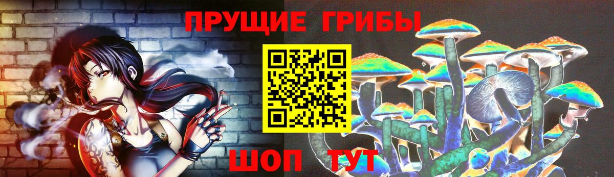 Псилоцибиновые грибы Psilocybine cubensis Ревда