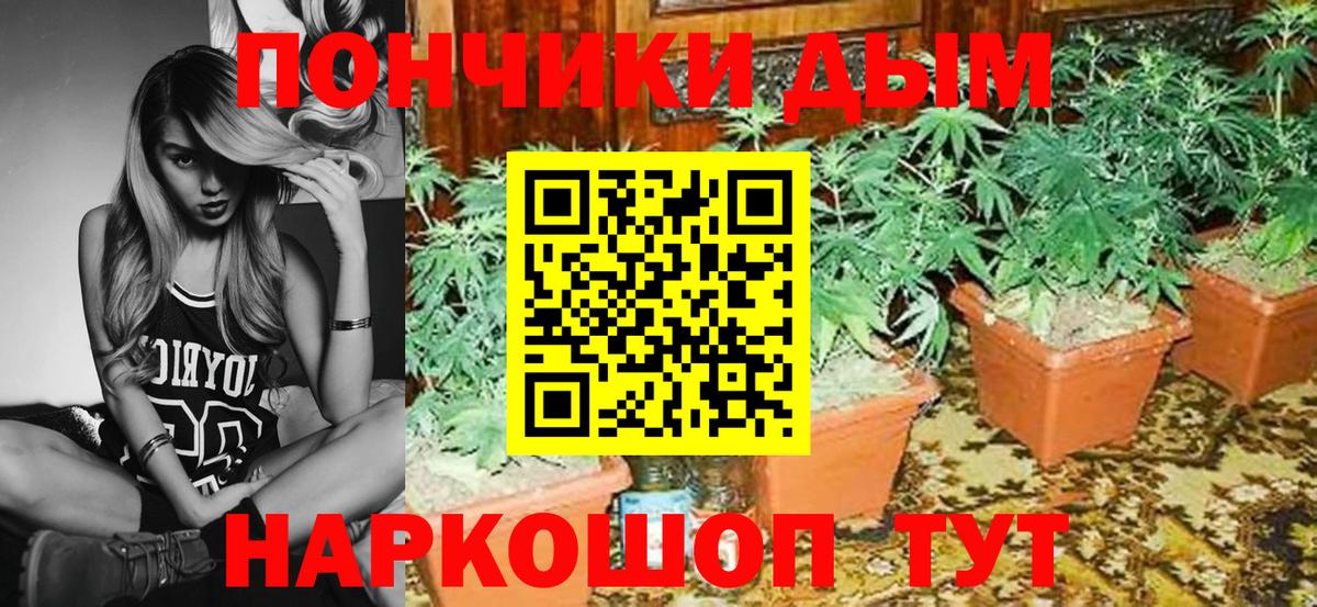 Ревда  Марихуана тримм  Вход с VPN  Канабис гибрид 